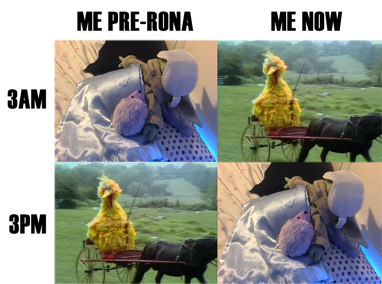 This meme is a humorous comparison between the pre-pandemic era ("pre-Rona") and the current time ("now"). The image shows a person lying in bed, surrounded by a mess of pillows and blankets, with a mask and a cup of coffee. The text "I'm not lazy, I'm just on pandemic time" is written above the image, implying that the person is struggling to get out of bed and is using the pandemic as an excuse for their laziness.
